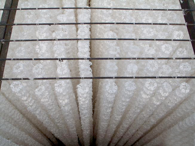 半軟性填料有什么特征？