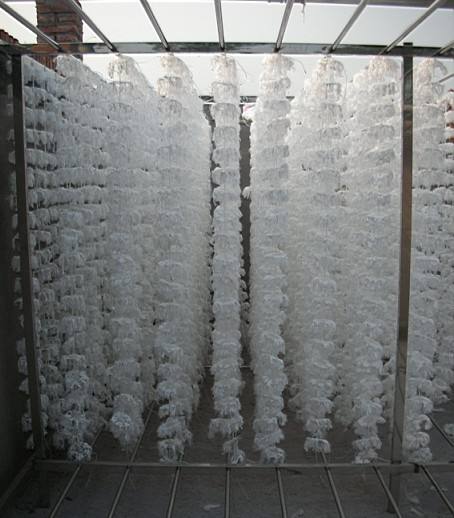 生物填料的這些特點，知道的人不多！